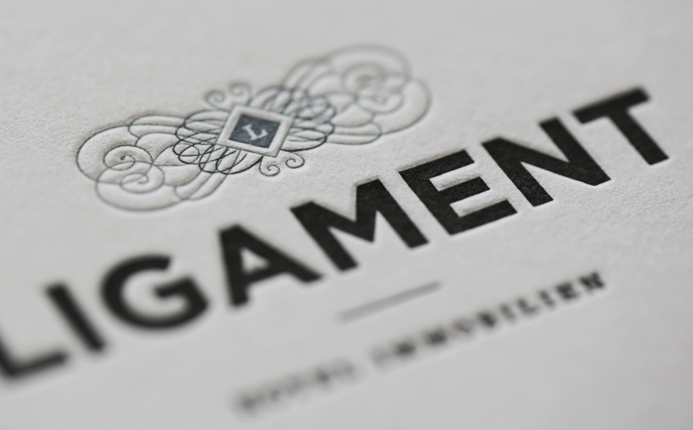 Logo Corporate Design Branding Grafik Grafikdesign Ligament Hofegger-Branding