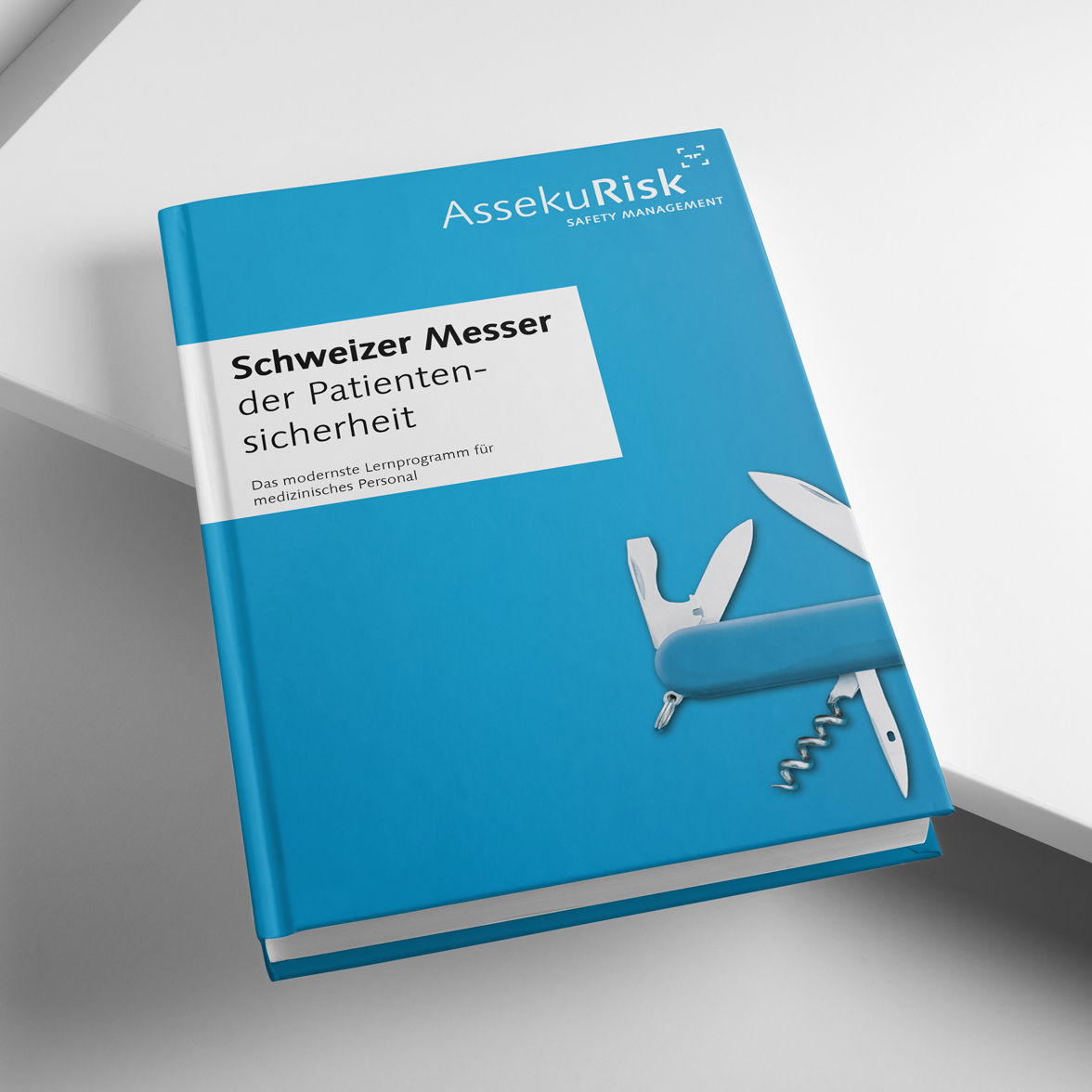 Branding im B2B: AssekuRisk Buch